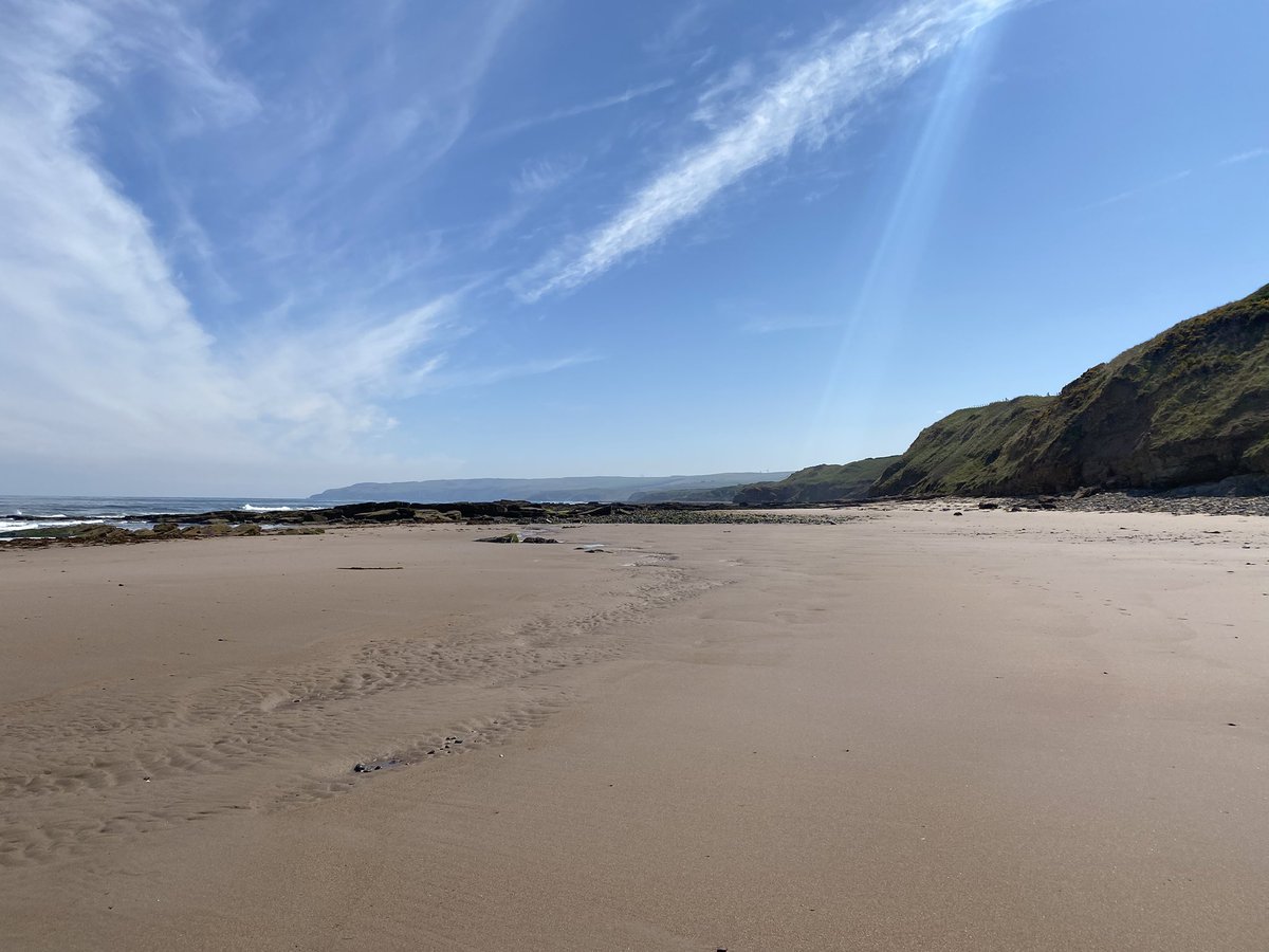 Karen Chamberlain tweet media