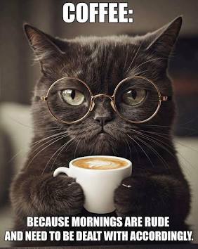 Good morning peeps here's your coffee quote 🐾☕️#coffee #tuesdayvibe #Cat #CoffeeTime