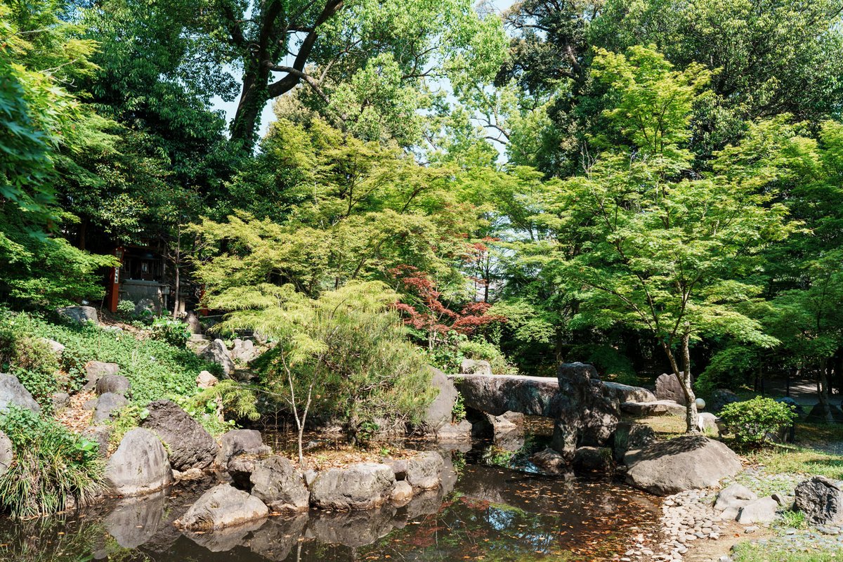 新緑が美しい
長岡天満宮の参道と庭園
4月30日撮影