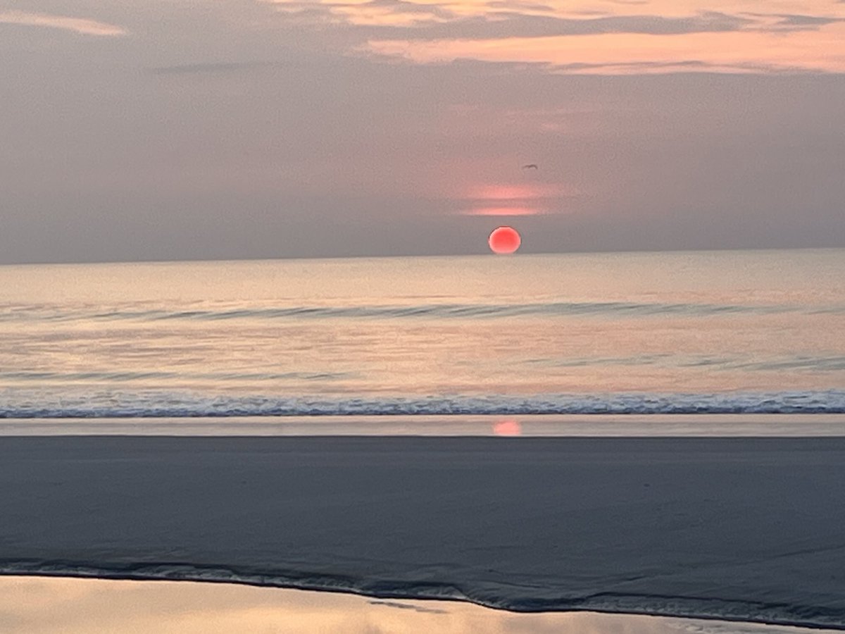 Tim Deegan tweet media