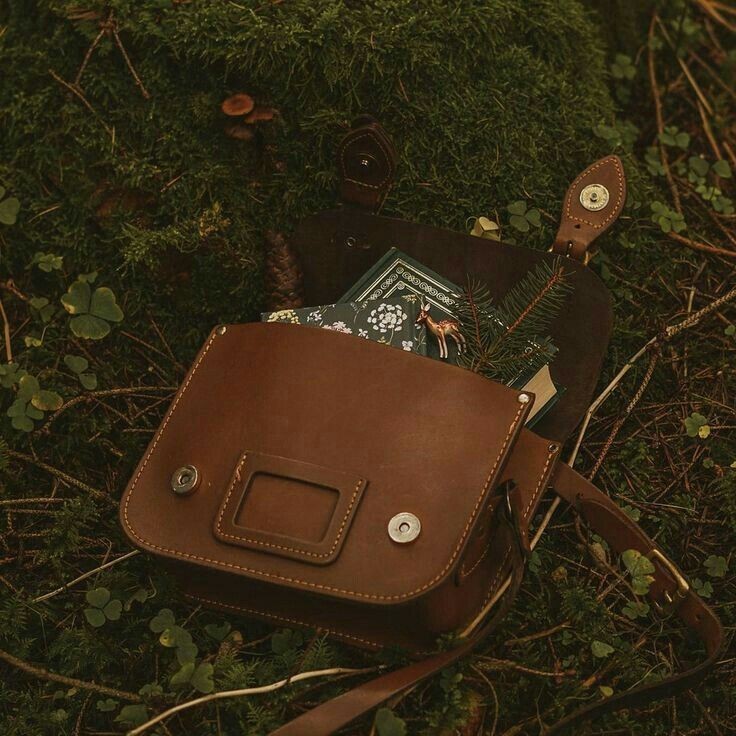 artistryhere's tweet image. after rain!