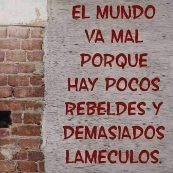 Buen martes para todos!! 😘 MENOS para los kukas que siguen sangrando, para los macristas resentidos y para los triperos virgos.....para el resto: excelente jornada 💪🦁🇦🇷😁