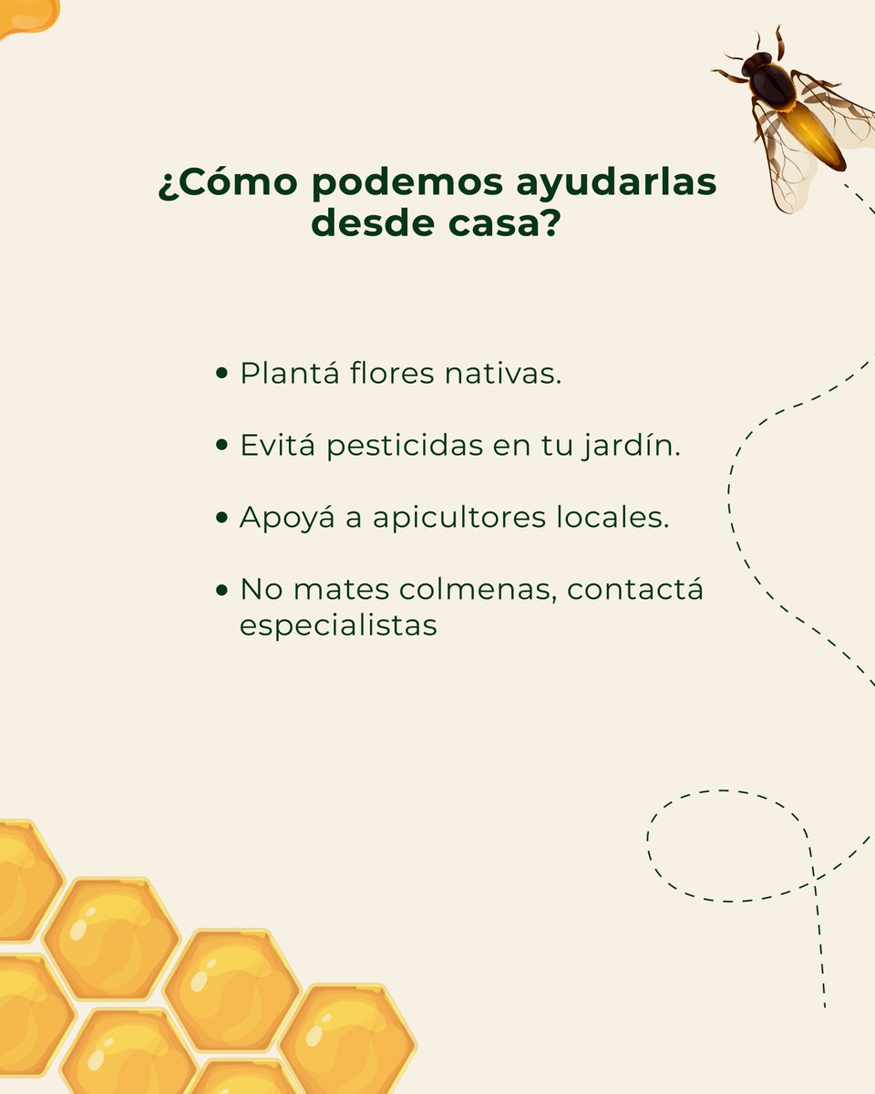 🐝✨ Hoy celebramos a las abejas, pequeñas pero poderosas.
Sin ellas, nuestro mundo no sería el mismo:
Cada flor que ves, cada fruta que comés, probablemente pasó por una abeja.

🌼 Hoy te contamos por qué son tan importantes y qué podés hacer desde tu casa para protegerlas.