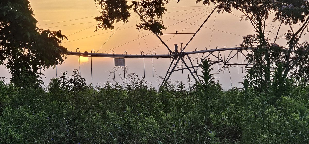 Morning all...
<a href="/simpsonWVTM13/">Jason Simpson</a> <a href="/spann/">James Spann</a> <a href="/AndrewGortonWx/">Andrew Gorton WTOC</a> <a href="/megtomwx/">Meaghan Thomas</a> <a href="/amanduh_curran/">Amanda Curran ☼</a> <a href="/StephWVTM13/">Stephanie Walker</a> <a href="/weatherchannel/">The Weather Channel</a> <a href="/EmilyRoehler/">Emily Roehler</a> <a href="/NWSTallahassee/">NWS Tallahassee</a>