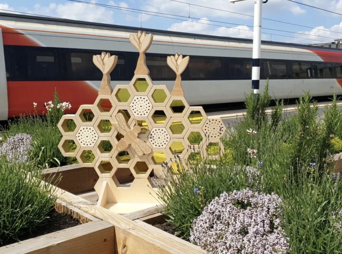 🐝 Imagine you're a bee, buzzing happily - until the flowers run out and all that’s left is concrete.

The Bee Friendly Trust is turning UK train stations into green havens for pollinators. 🌼🚉

Celebrating 10 years of impact this #WorldBeeDay!
👉 smileymovement.org/news/world-bee…