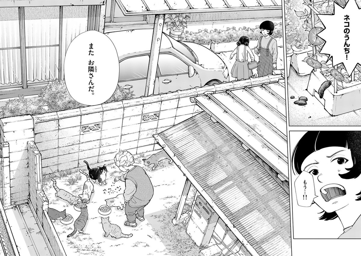 野良ネコにエサをあげるのって、良いこと?悪いこと?(1/5) 