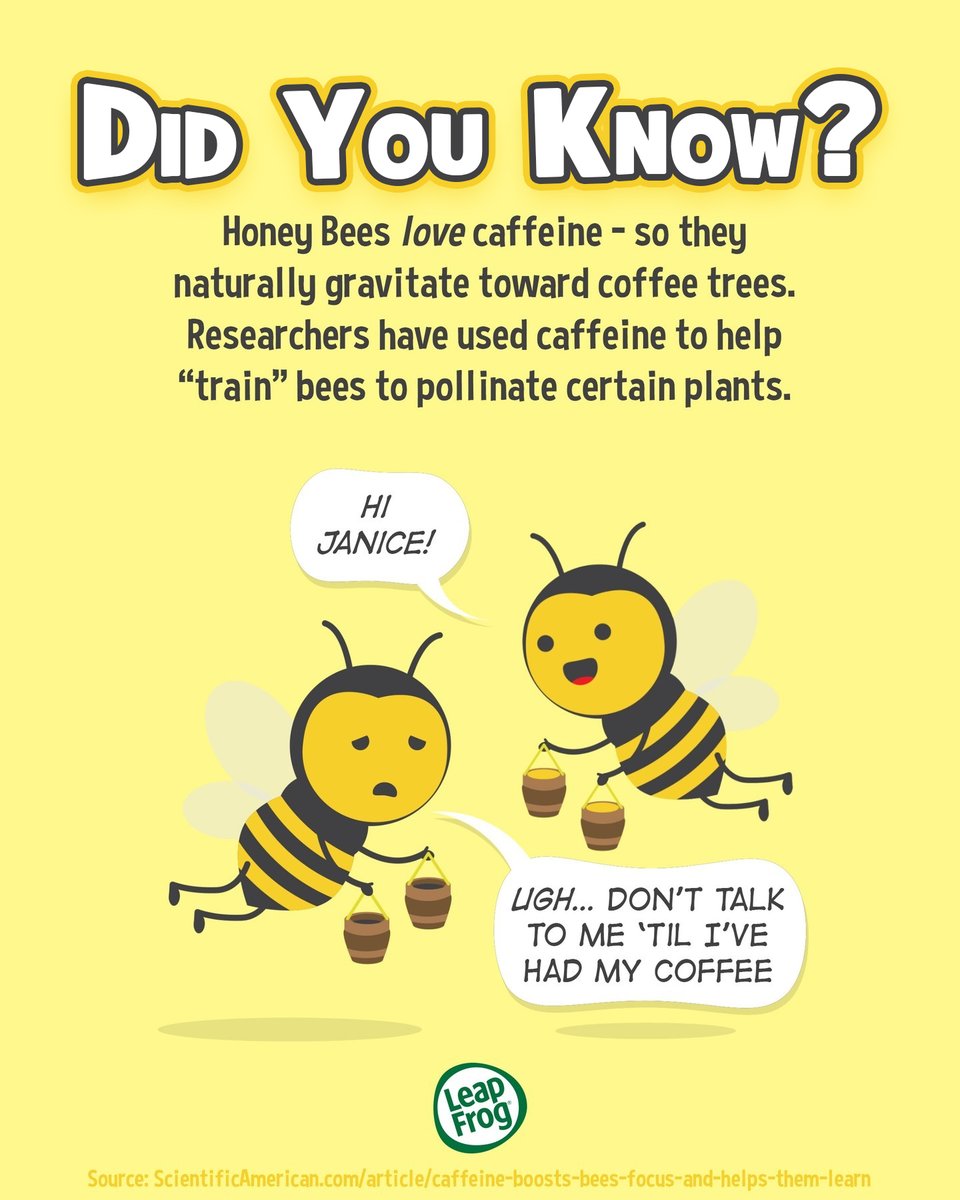 So that's where the lil' buzz comes from... 🐝☕️⁣
⁣
We always felt like we were kindred spirits with bees! Happy World Bee Day!⁣
⁣
🍯☕️⁣🐝⁣