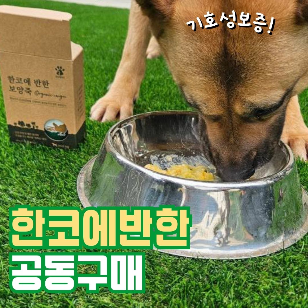 🐾 한코에반한 x 아크보호소 🐶후원공구 시작!

✔기간: 5월20일(화)~5월25일(일)
✔구매방법: naver.me/5EUqKfYx
✔3만원 이상 구매시 무료배송

✔전 제품 30% 할인,  판매가20% 후원

🥕불고기 5종/ 영양죽 6종/ 육수 5종
🥕전 제품 멸균포장, 상온보관
🥕100% 국내산 농수산물만 사용,