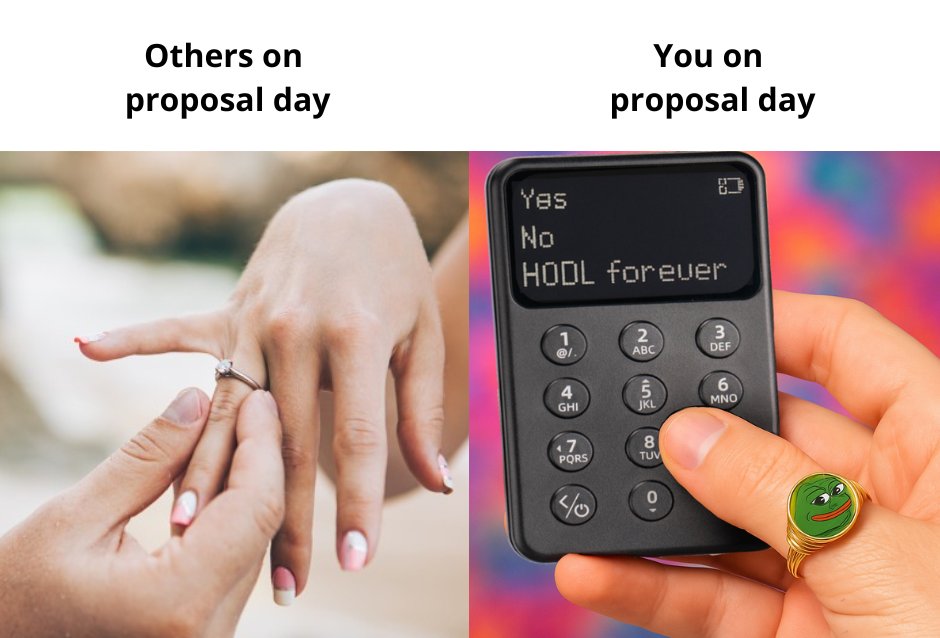Most people proposing: 💍
Me proposing: “Here’s my seed phrase, don’t lose it.” 🔐