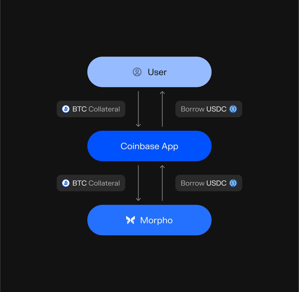 morphocn's tweet photo. Defi创新模式：“DeFi Mullet”--Coinbase 与 Morpho 如何赋能用户
💎“DeFi Mullet”模式指前端提供直观体验，后端保留区块链优势。

前端：一个简单的 UI 和 UX，就像 @binance或其他易于使用的 CEX 和移动应用程序；Coinbase 应用让用户以 BTC 抵押借 USDC，无需接触链上操作，操作简便，基于 Base 网络运行，成本低、速度快。

后端：具有区块链的所有优势，例如透明度和自由度；Morpho 提供非托管、透明的 DeFi 基础设施，接入 60 亿美元流动性，智能合约经过顶级审计，安全可靠。

Coinbase 应用程序易于使用，Morpho 可以通过 $USDC 贷款为 $BTC 抵押并释放流动性。数据显示，该产品已吸引 4 亿美元抵押品、1.78 亿美元贷款，覆盖 5,595 名用户。

💎赋能用户：

便捷性：用户可通过 Coinbase 快速借贷，无需卖出资产即可解锁流动性。

透明性与安全：链上数据公开可查，非托管设计让用户掌控资产，避免“黑箱”风险。

低成本：Base 网络交易费用低，贷款几分钟到账，优于传统金融。

探索 DeFi：为用户提供低风险入口，逐步接触 DeFi 生态。

总结：DeFi Mullet这是一种 DeFi 创新，通过结合用户友好体验与区块链透明性，弥合了普及差距。