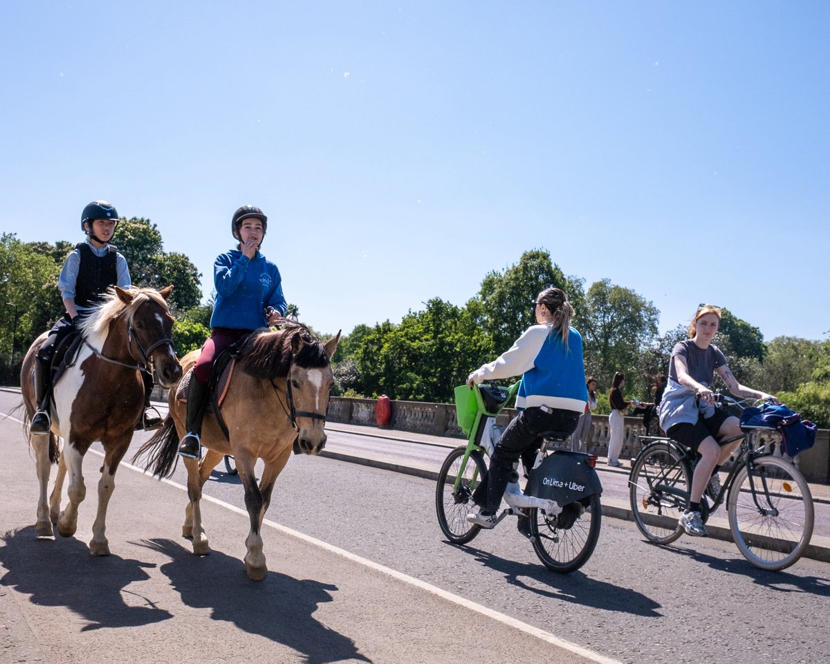 GonzoStreetPhotography tweet media