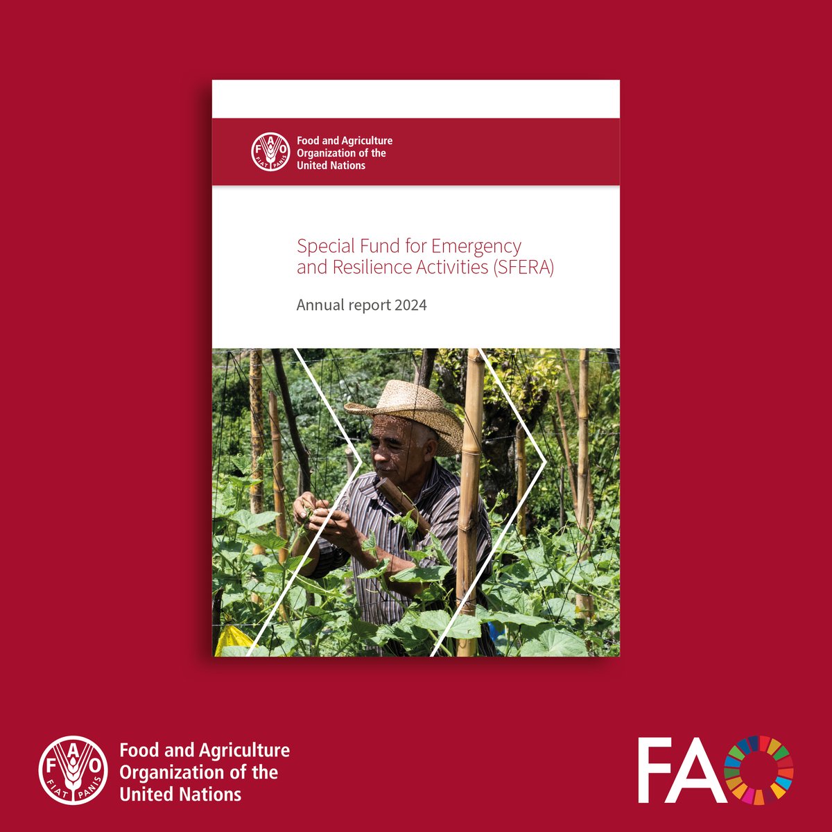 FAO in Emergencies (@faoemergencies) on Twitter photo The Special Fund for Emergency and Resilience Activities (SFERA) enables <a href="/FAO/">Food and Agriculture Organization</a> to respond rapidly and effectively to food and agricultural threats and emergencies.
This annual report provides key operational and financial data from 2024.
bit.ly/4j7ZmMn The Special Fund for Emergency and Resilience Activities (SFERA) enables <a href="/FAO/">Food and Agriculture Organization</a> to respond rapidly and effectively to food and agricultural threats and emergencies.
This annual report provides key operational and financial data from 2024.
bit.ly/4j7ZmMn