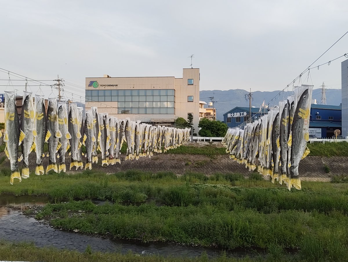 OnetoOne_PR's tweet photo. #四国中央市
#金生川
#鮎のぼり

無風でメザシのようになっている🎏 https://t.co/LZ3hiLUFf0