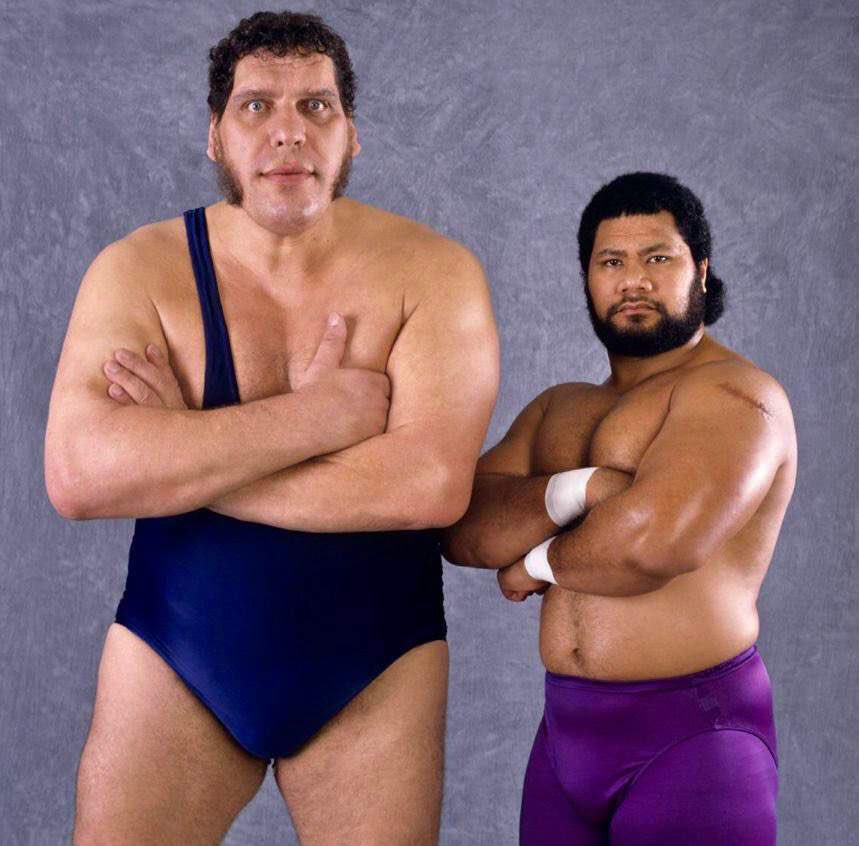 Chupacabra_01's tweet image. 🎂Happy Birthday to the late, great, Andre the Giant! #AndreTheGiant #EighthWonderOfTheWorld #WWE #NXT #WWEHOF #ECW #NWA #WCW #TNA #ROH #AEW #MLW #AWA #WCCW #LuchaLibreAAA #CMLL #NJPW #ProWrestlingNoah #AJPW