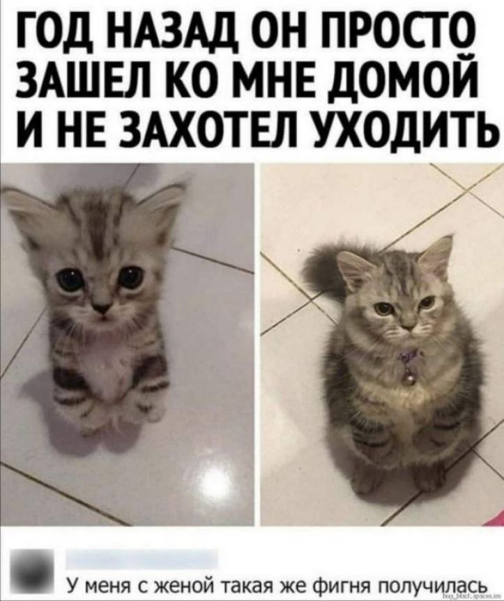 #FollowMe #FollowBack #FollowForFollow #F4F #RT #Retweet