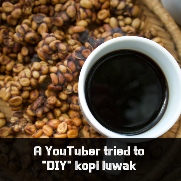 shinO7_O7's tweet image. ☕ A YouTuber tried to "DIY" kopi luwak by swallowing whole coffee beans to retrieve them later…
🎥 The result? Emergency surgery for intestinal blockage and a week in the hospital.
Sometimes, content really isn't worth it.
#YouTubeFail #KopiLuwak #HealthHazard #CrazyStunt