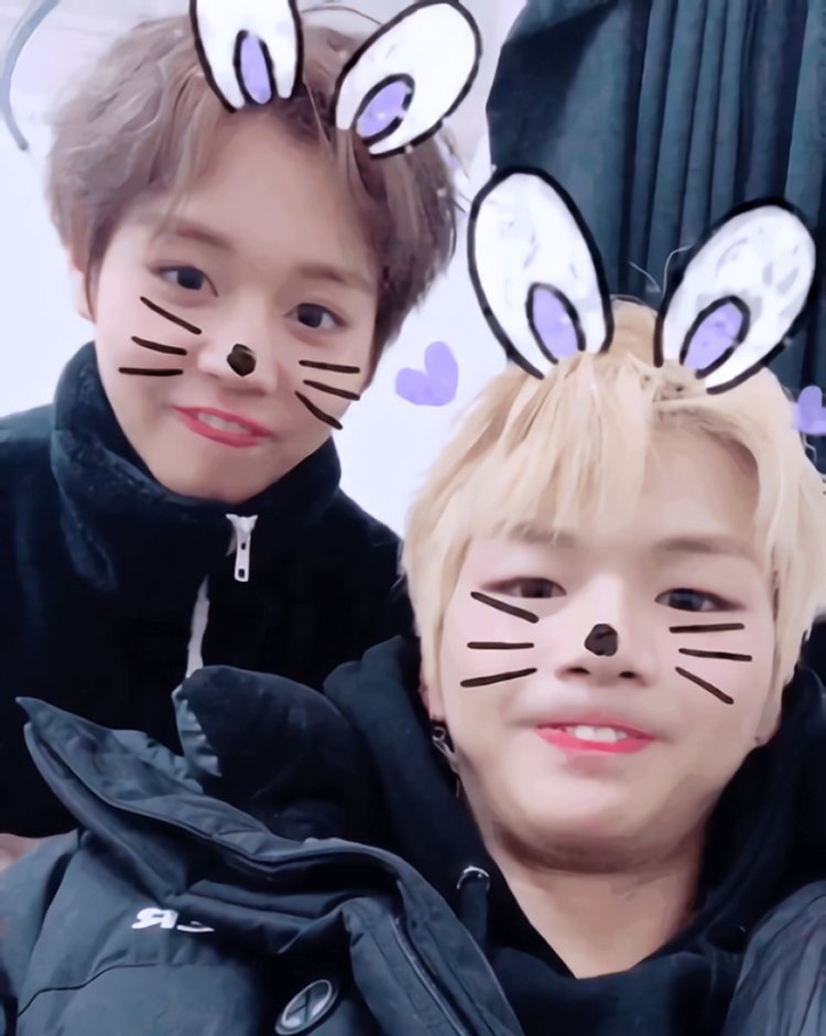 Darl𖧷ing 🍒 (semi inactive) tweet media