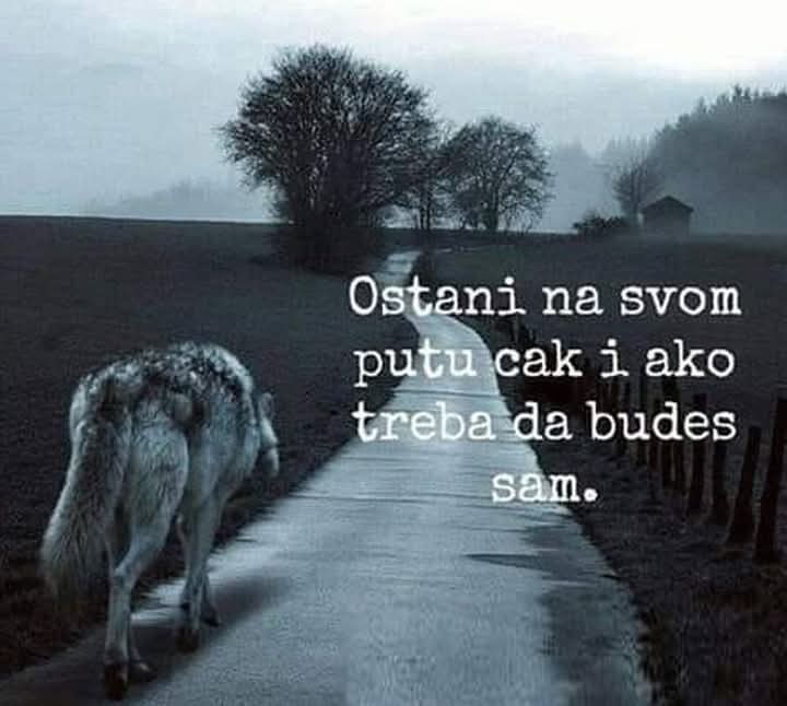 Вук Панонски (@bikkojibesedi) on Twitter photo 