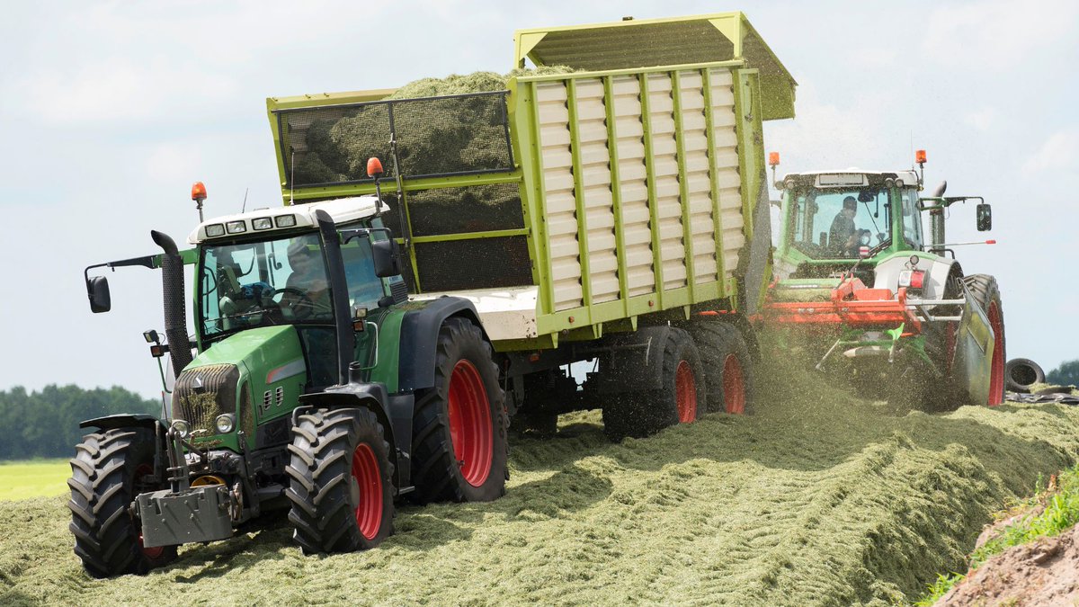 (van onze partner)
Een lasagnekuil is praktisch, maar vraagt om strak inkuilmanagement. Voorkom verliezen: combineer de snedes slim, geef de kuil de tijd om stabiel te worden en gebruik een snelwerkend inkuilmiddel.
 
Lees onze tips voor de lasagnekuil op beterruwvoer.nl