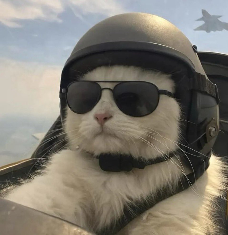 แสนล้านหมื่นพันเอกโทรตรีจัตวาหมอยง ʕ·ᴥ·ʔ ♡ tweet media