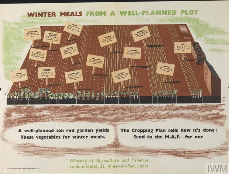 JenKteach's tweet photo. It’s National Plant Something Day! So I want to take the opportunity to thank our farmers for always planting, and maybe we could all plant a seed or two, it is how things grow and mature ;) #PlantSomethingDay #Farmers Here's a little throw back: #DigForVictory https://t.co/V8DxPBuepP