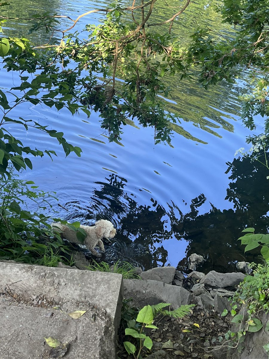 joanna markham tweet media