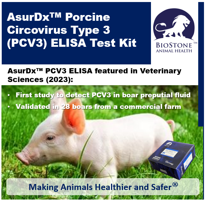 biostoneah's tweet photo. Detect PCV3 antibodies in pig serum/plasma.
The AsurDx™ PCV3 ELISA was featured in a 2023 Veterinary Sciences study, the first to report PCV3 in boar preputial fluid.
📖 Read the study -> https://t.co/u2yRIZ67DB
🔗Learn more: https://t.co/oHdb6kEvQ4
#PCV3 #AsurDx #Biostone
Availability/Distribution: Products are designed and developed by BioStone US at our Texas headquarters. Currently, products are only available outside of the USA. Regulatory requirements vary by country; products may not be available in your geographic area.