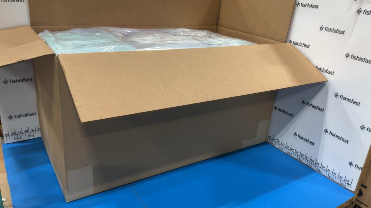 Fishisfast_AR's tweet image. 📦 قيموا هذا التغليف!
49 شحنة تم دمجها في صندوقين فقط

العميل طلب شحن كل المشتريات معا — وهكذا جهزناها:

✅ دمج 49 شحنة في طلب واحد
✅ كيس بلاستيك للحماية من الرطوبة
✅ صندوق مزدوج لتوفير أقصى حماية
✅ تغليف خارجي بالبلاستيك لضمان الأمان

جاهزة للشحن!✈️
كم تعطي هذا التغليف من 10؟