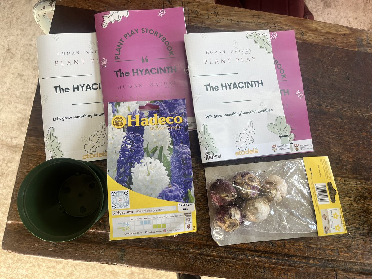 REPSSI South Africa tweet media