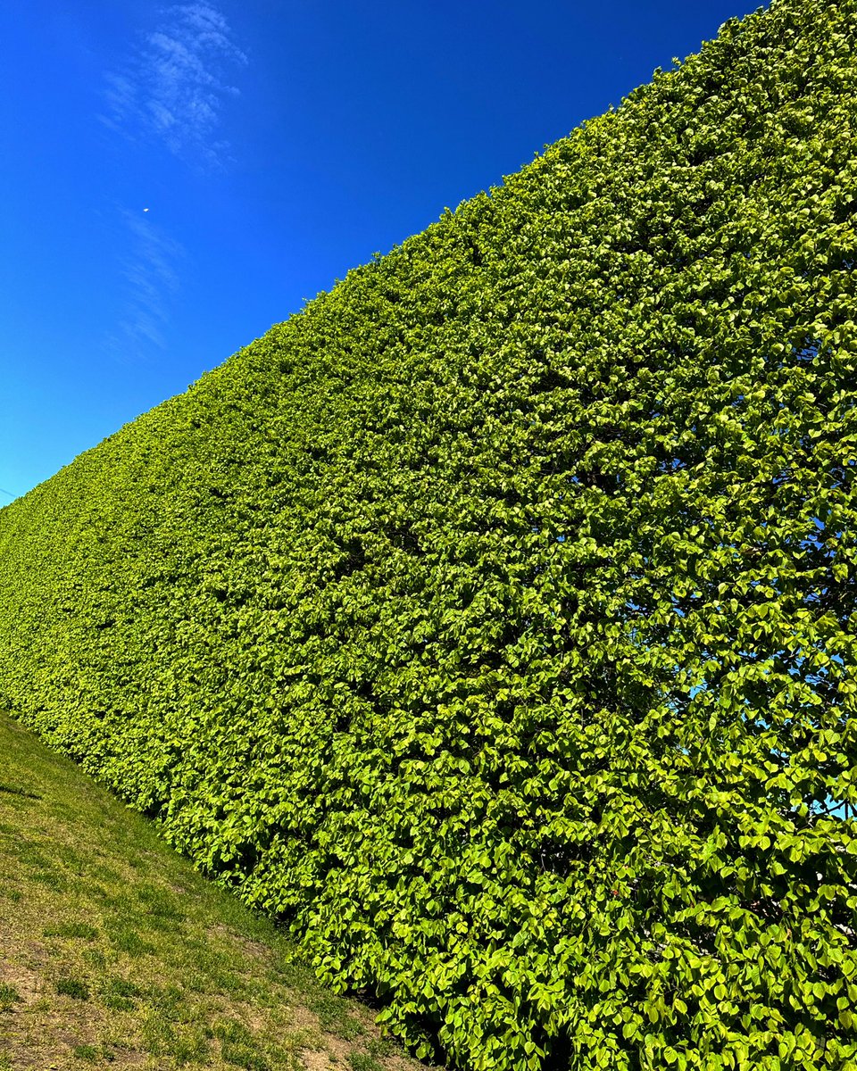 Visi trijstūri ir mīlestības trijstūri…ja Tu mīli trijstūrus💚