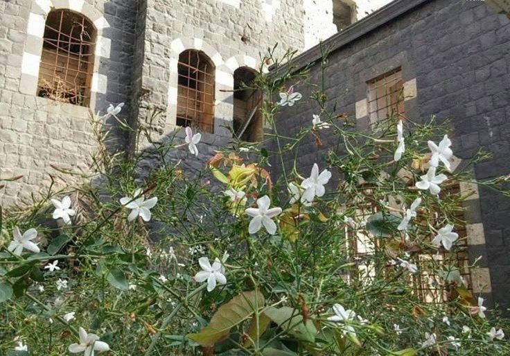 عبدالله الخالدي tweet media