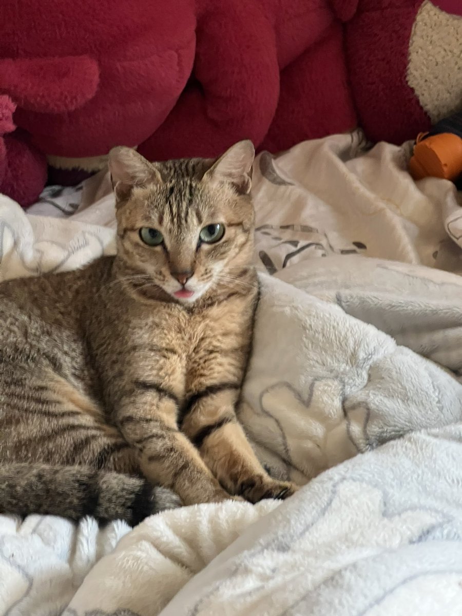 小白人 tweet media