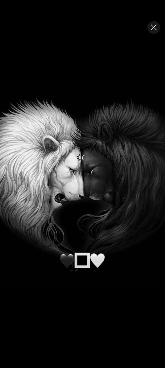venof7's tweet photo. Sun and moon https://t.co/aNwpklEPFR