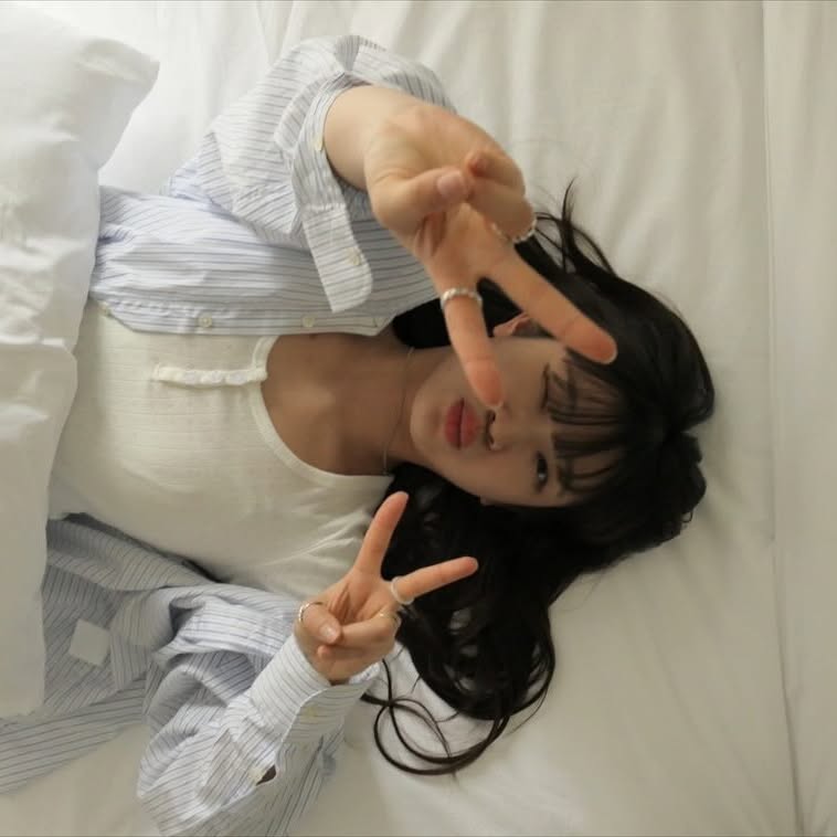 A peaceful forest with sunlight filtering through the leaves.