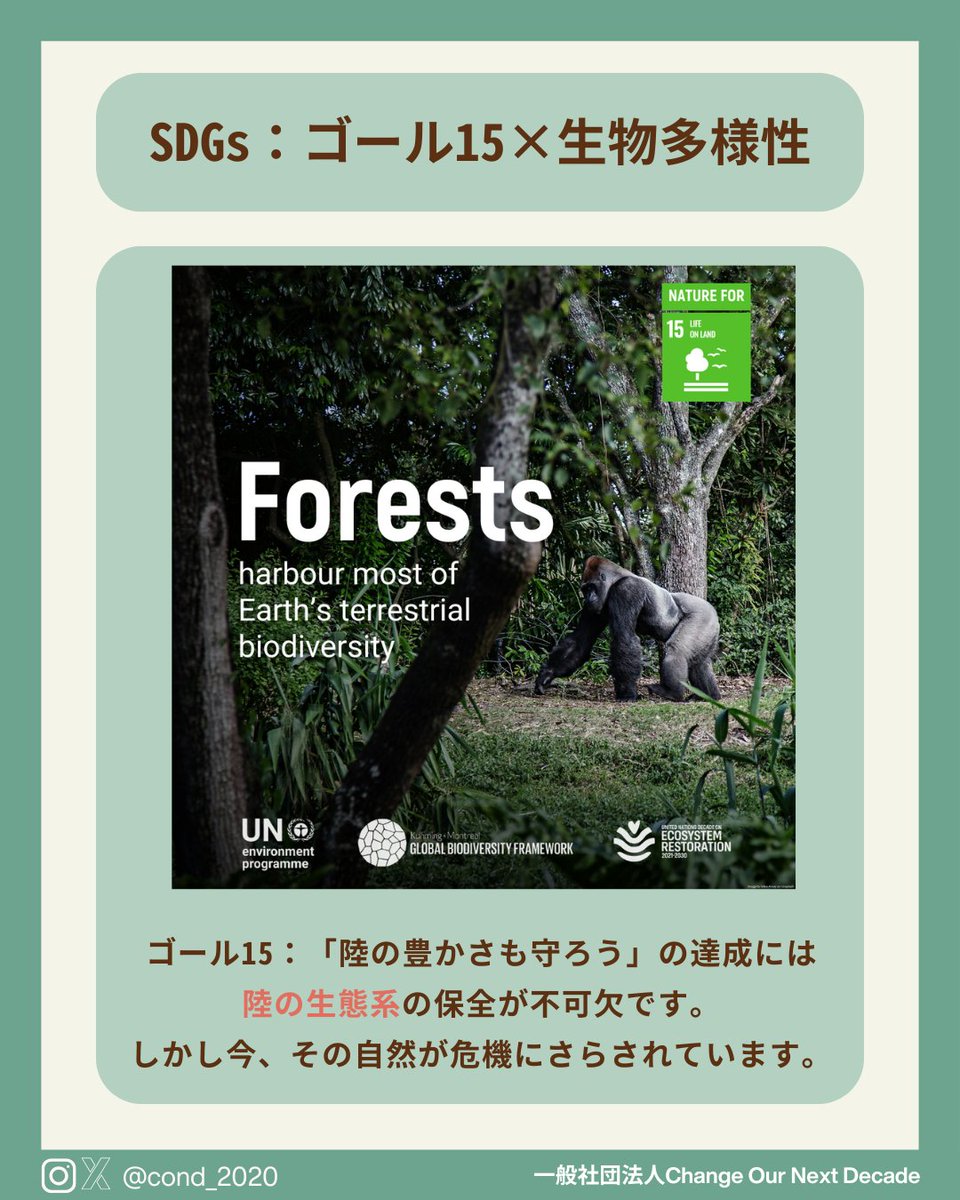 COND_2020's tweet photo. 5月22日は【#生物多様性の日】  #生物多様性 は、地球上の生命にとって不可欠です。水や食べ物、空気など、私たちの #日常 を支えています。  これを機に、生物多様性 や、生物多様性の日 について知っていただけると幸いです！

@unbiodiversity

#COND #youth #biodiversity #BiodiversityDay https://t.co/k6q75xWtHn