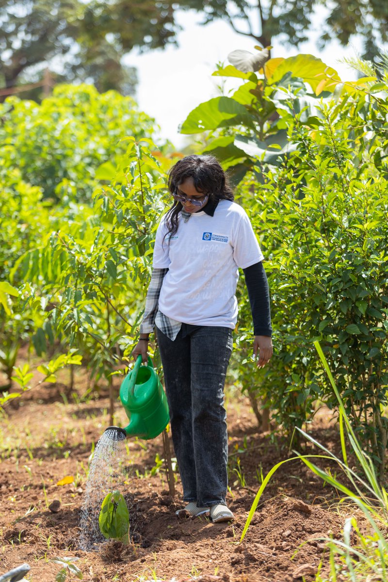 Commonwealth Scholarships Alumni Uganda (@csfaau) on Twitter photo π³ Tree-mendous moments unlocked! πΈβ¨
Every photo tells a story of teamwork, laughter, and action for a greener Uganda. ππΊπ¬
#AKUEnvironmentClub <a href="/RoofingsGroupUG/">Roofings Group Uganda</a> #TreePlanting #GreeningUganda <a href="/UKinUganda/">UK in Uganda π¬π§ πΊπ¬</a> <a href="/commschols/">CSC in the UK</a> <a href="/UgBritish/">British Council</a>
π· Swipe through and spot your favorite moment! π³ Tree-mendous moments unlocked! πΈβ¨
Every photo tells a story of teamwork, laughter, and action for a greener Uganda. ππΊπ¬
#AKUEnvironmentClub <a href="/RoofingsGroupUG/">Roofings Group Uganda</a> #TreePlanting #GreeningUganda <a href="/UKinUganda/">UK in Uganda π¬π§ πΊπ¬</a> <a href="/commschols/">CSC in the UK</a> <a href="/UgBritish/">British Council</a>
π· Swipe through and spot your favorite moment!