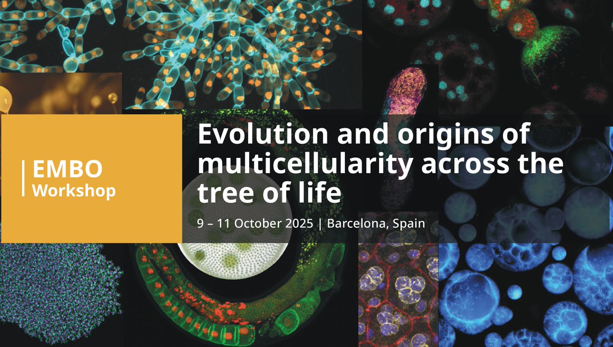 Institute of Evolutionary Biology (IBE) (@ibe_barcelona) on Twitter photo <a href="/EMBO/">EMBO</a> <a href="/the_prbb/">Biomedicina BCN</a> <a href="/CSIC/">CSIC</a> <a href="/CSICCat/">CSIC en Catalunya</a> <a href="/UPFbiomed/">UPF Medicine and Life Sciences</a> <a href="/multicellgenome/">Iñaki Ruiz-Trillo</a> <a href="/victoriashabard/">victoria shabardina</a> <a href="/MartonaAlvarez/">Marta Álvarez</a> Leading scientists from around the world will come together to unravel the early steps of #multicellular #evolution and address key questions: 🦠❓🧬
✅ Can we identify universal principles of multicellularity and/or fundamental differences intrinsic to each lineage? <a href="/EMBO/">EMBO</a> <a href="/the_prbb/">Biomedicina BCN</a> <a href="/CSIC/">CSIC</a> <a href="/CSICCat/">CSIC en Catalunya</a> <a href="/UPFbiomed/">UPF Medicine and Life Sciences</a> <a href="/multicellgenome/">Iñaki Ruiz-Trillo</a> <a href="/victoriashabard/">victoria shabardina</a> <a href="/MartonaAlvarez/">Marta Álvarez</a> Leading scientists from around the world will come together to unravel the early steps of #multicellular #evolution and address key questions: 🦠❓🧬
✅ Can we identify universal principles of multicellularity and/or fundamental differences intrinsic to each lineage?