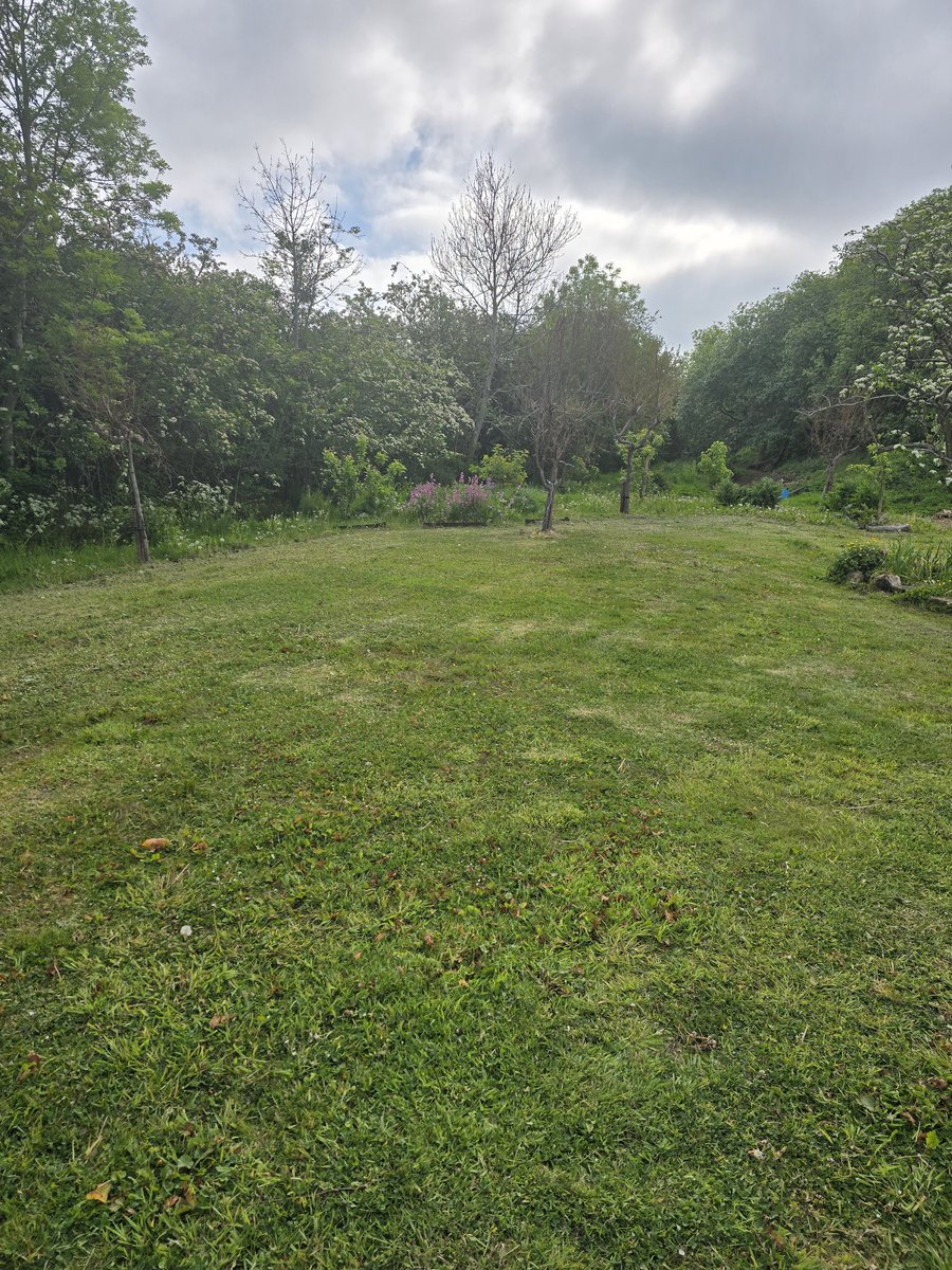 Burn Road Action Group (@belstaneburn) on Twitter photo Thank You to <a href="/SouthLanCouncil/">South Lanarkshire Council</a> for cutting the grass in the green space at Belstane Burn. Much appreciated by all who enjoy this space 🌳💚 #doontheburn #feelinggrateful #carluke Thank You to <a href="/SouthLanCouncil/">South Lanarkshire Council</a> for cutting the grass in the green space at Belstane Burn. Much appreciated by all who enjoy this space 🌳💚 #doontheburn #feelinggrateful #carluke