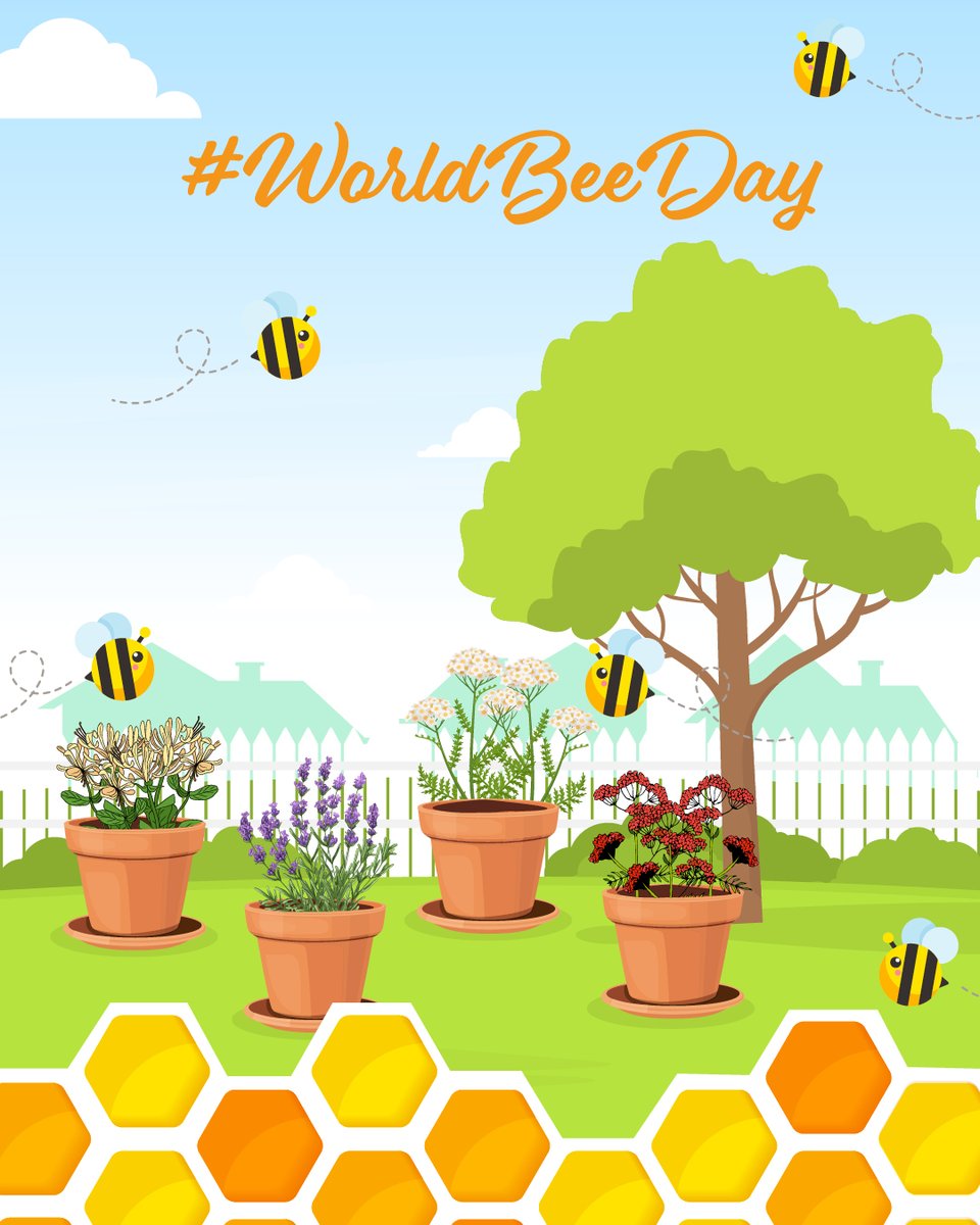 WildThings tweet media