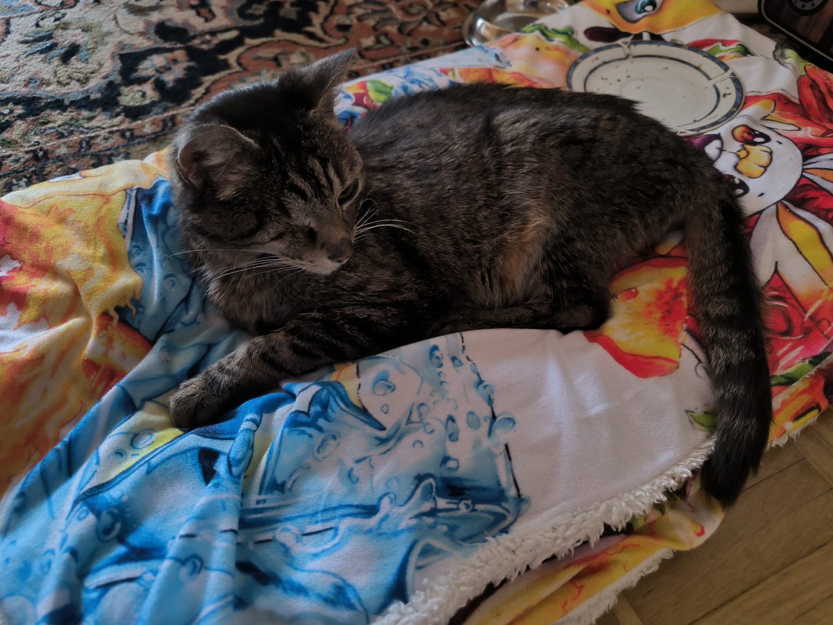 ✨Neko im Arknights Fieber again✨ tweet media