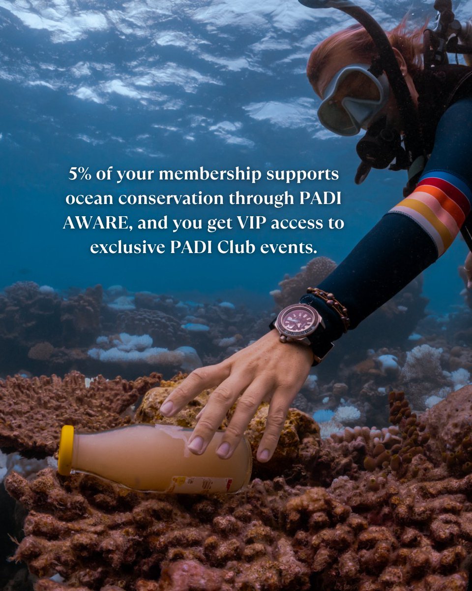 Become Part of a Global Ocean-Loving Community! 🌊

Get inspired for your next adventure with exclusive member benefits designed to elevate your diving experience and keep you connected with fellow divers. 🤿

🔗 Click here: padi.co/zjklsou9
#PADI #PADIClub #PADICommunity
