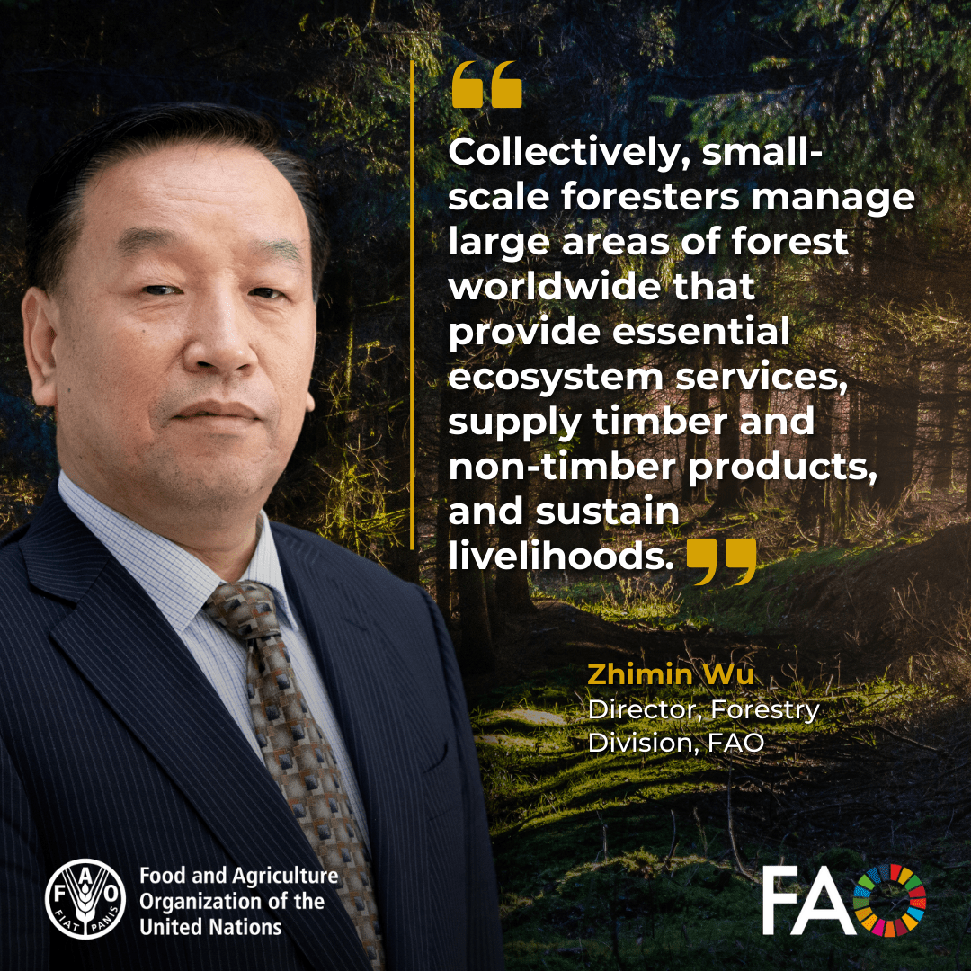FAOForestry's tweet photo. Collectively, small-scale foresters manage large areas of forest worldwide that provide essential ecosystem services, supply timber and non-timber products & sustain livelihoods, @FAO's Zhimin Wu tells 1st European Conference on #SmallForest holdings
@SMURFProject @FCesefor https://t.co/E9yap1DgjJ