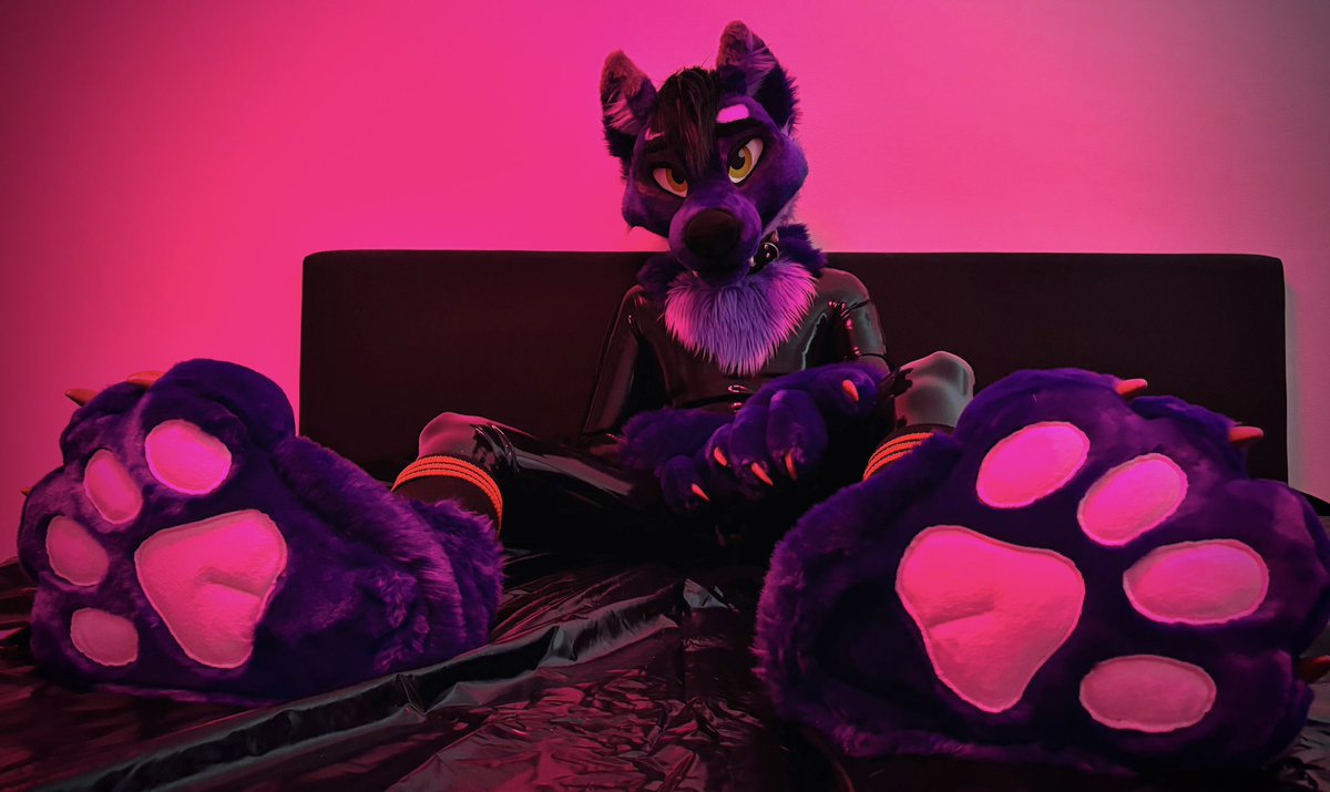 Heard its #PawDay today