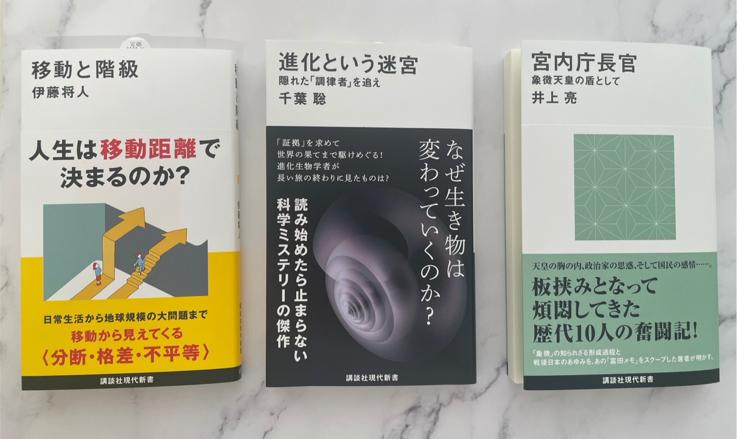 貴重 非売品 今上陛下聖徳景仰録 編算兼発行人高知新聞社 皇室