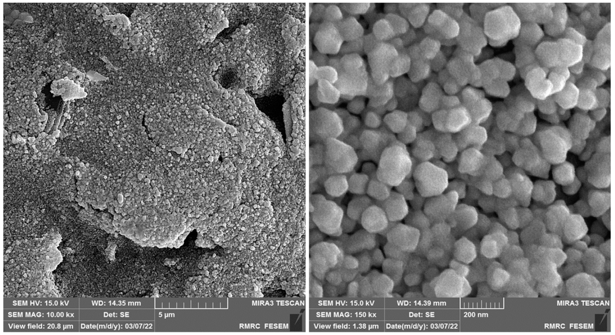 Biosensors_MDPI's tweet photo. 📣 Call for Reading:
#Communication
Fabrication of a Novel and Ultrasensitive Label-Free Electrochemical Aptasensor Based on Gold Nanostructure for Detection of Homocysteine
by Reza Zaimbashi, et al.
https://t.co/lZ8G74lSQO
#Ultrasensitive #Gold #Nanostructure #Aptasensor https://t.co/dQRRfuadZb