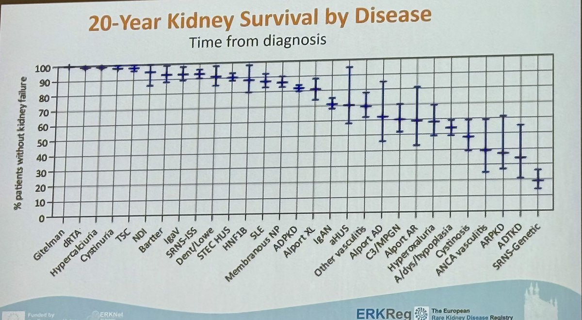 Flavia Galletti tweet media