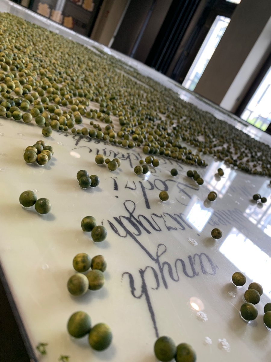 Łódź. Beautiful Poland. Urban Future 2025. #handball