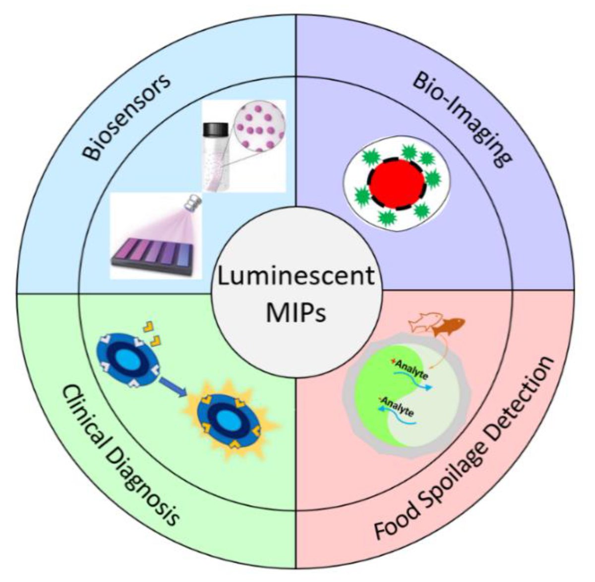 Biosensors_MDPI's tweet photo. 📣 Call for Reading:
#Review
Molecularly Imprinted Polymer-Based Luminescent Chemosensors
by Ruoyang Liu, Chi-Chiu Ko
https://t.co/gvbMYWeFUn
#MIP #Polymer #luminescent #Chemosensor https://t.co/FRw3gyZXJx