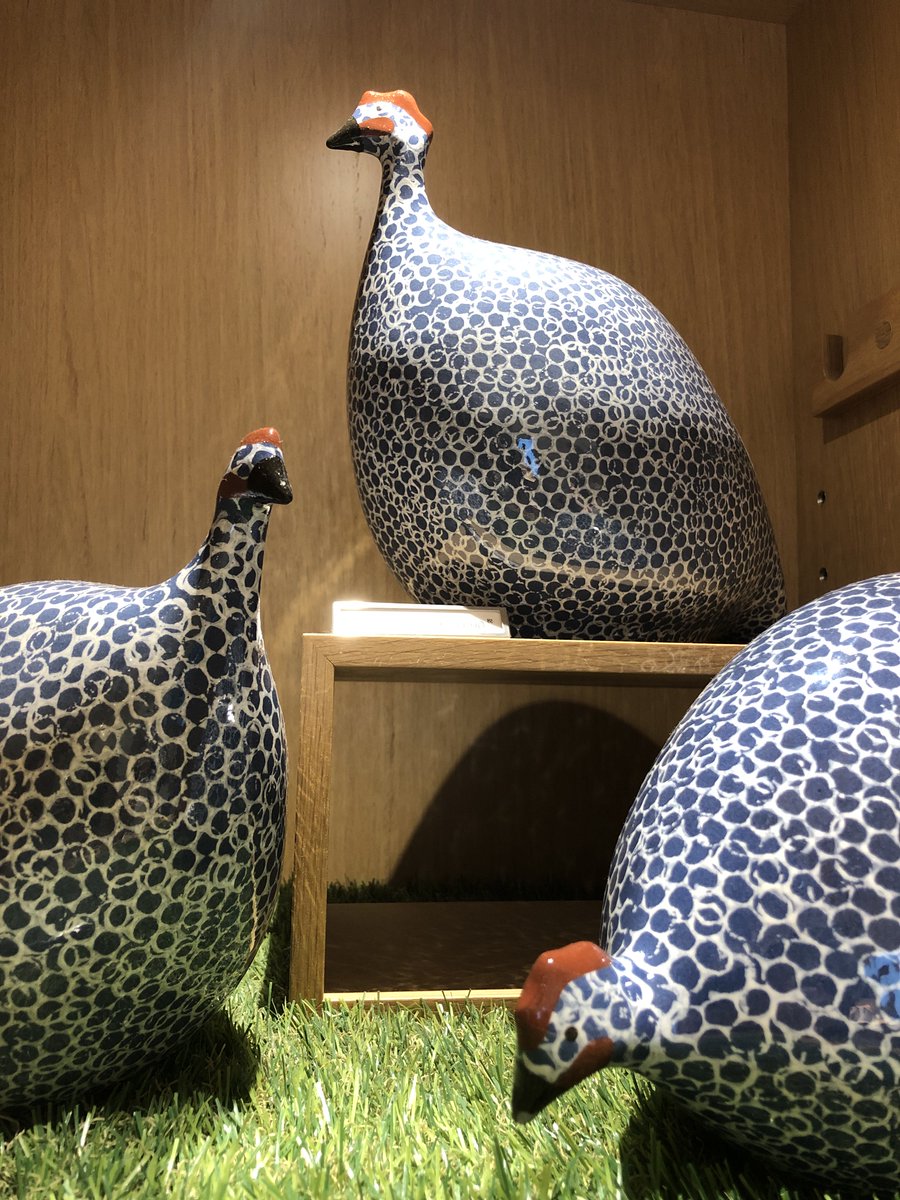 今日は6階にいる動物たちをご紹介します😊 姿が見えるとウキウキして