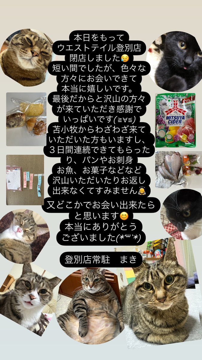 westtail_240's tweet photo. 短い間でし���がご愛顧ありがとうございました😊
色々な会社様、ご来店いただいた方々から、沢山のお言葉をいただき感謝申し上げます🙇
結構ウロウロしてる私なのでどこかで見かけたらお声かけください(*´꒳`*)
本当にありがとうございました🙇　　　
　　　　上原　真紀
#室蘭　#登別　#ウエストテイル https://t.co/P7w70pm58N